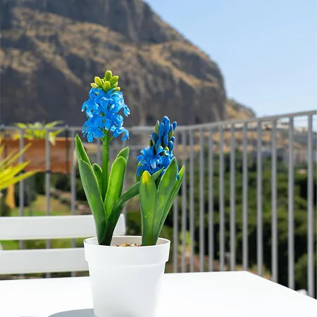 Apartament Airoldi *